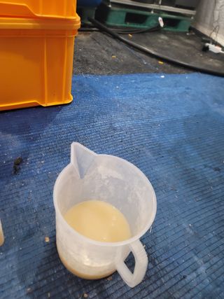 장인호님의 딸기 · 영농일지 작성글 사진