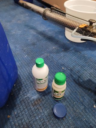 장인호님의 딸기 · 영농일지 작성글 사진