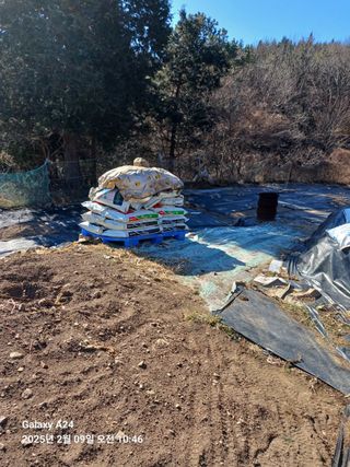 이세순님의 기타작물 · 영농일지 작성글 사진