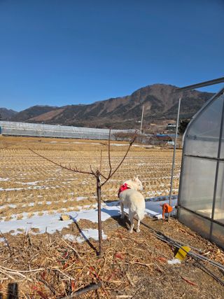정민지호맘님의 기타작물 · 영농일지 작성글 사진