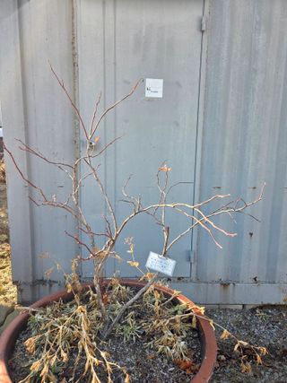 정민지호맘님의 기타작물 · 영농일지 작성글 사진