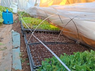 체리123님의 기타작물 · 영농일지 작성글 사진