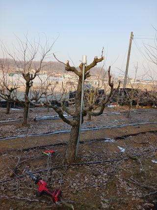 정순유님의 기타작물 · 영농일지 작성글 사진