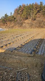 팜모닝 기타작물·영농일지 게시글 이미지