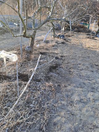 김성문님의 기타작물 · 영농일지 작성글 사진