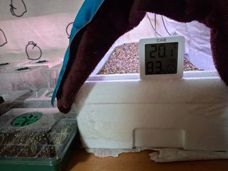 체리123님의 기타작물 · 영농일지 작성글 사진