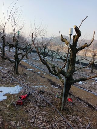 정순유님의 기타작물 · 영농일지 작성글 사진