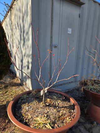 정민지호맘님의 기타작물 · 영농일지 작성글 사진