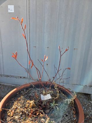 정민지호맘님의 기타작물 · 영농일지 작성글 사진