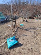 팜모닝 기타작물·영농일지 게시글 이미지