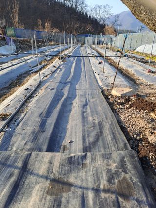 김성문님의 기타작물 · 영농일지 작성글 사진