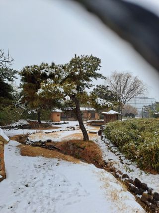 김성문님의 기타작물 · 영농일지 작성글 사진