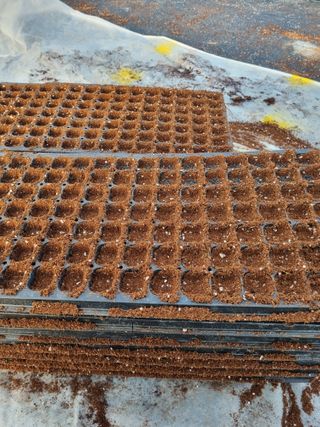 이명숙님의 기타작물 · 영농일지 작성글 사진