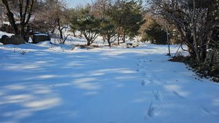 ogapiall님의 기타작물 · 영농일지 작성글 사진