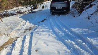 ogapiall님의 기타작물 · 영농일지 작성글 사진