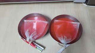 여우내 이순홍님의 고추 · 영농일지 작성글 사진