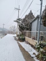 팜모닝 기타작물·영농일지 게시글 이미지