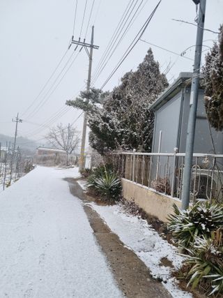 이명숙님의 기타작물 · 영농일지 작성글 사진