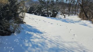 ogapiall님의 기타작물 · 영농일지 작성글 사진