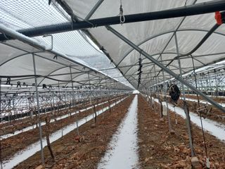 표고버섯18837님의 기타작물 · 영농일지 작성글 사진