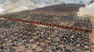 원스피릿팜님의 기타작물 · 영농일지 작성글 사진