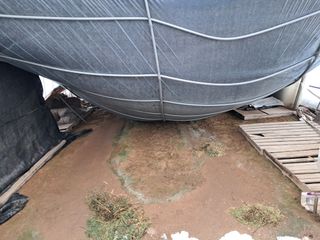 산신령님의 기타작물 · 영농일지 작성글 사진