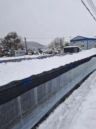 산신령님의 기타작물 · 영농일지 작성글 사진