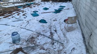 원스피릿팜님의 고추 · 영농일지 작성글 사진