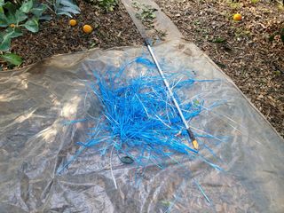 순간순간의있음님의 귤 · 영농일지 작성글 사진