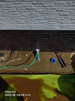 이세순님의 기타작물 · 영농일지 작성글 사진