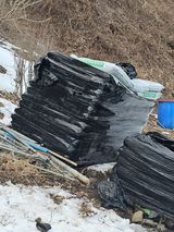 팜모닝 기타작물·영농일지 게시글 이미지