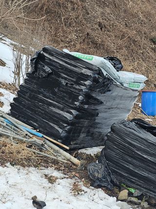 마실 박기님의 기타작물 · 영농일지 작성글 사진