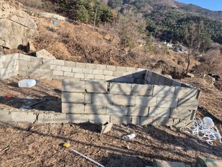 시골농부뜨돌이님의 기타작물 · 영농일지 작성글 사진