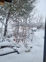 팜모닝 기타작물·영농일지 게시글 이미지