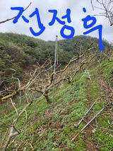 팜모닝 기타작물·영농일지 게시글 이미지