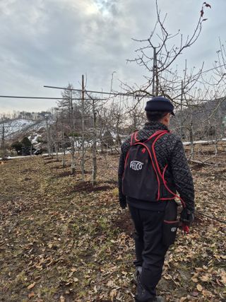 바람소리님의 기타작물 · 영농일지 작성글 사진