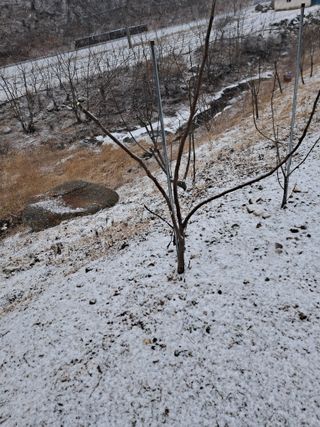 이은주(여성초보농민님의 기타작물 · 영농일지 작성글 사진
