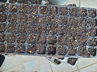 김응택님의 기타작물 · 영농일지 작성글 사진