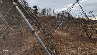 김준한님의 기타작물 · 영농일지 작성글 사진