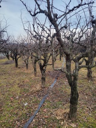 정택님의 기타작물 · 영농일지 작성글 사진