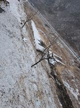 팜모닝 기타작물·영농일지 게시글 이미지