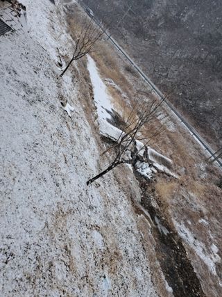 이은주(여성초보농민님의 기타작물 · 영농일지 작성글 사진