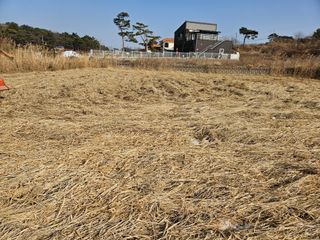 하이론님의 벼 · 영농일지 작성글 사진