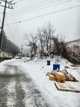 팜모닝 감·영농일지 게시글 이미지