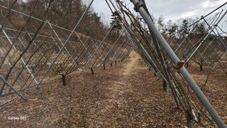 김준한님의 기타작물 · 영농일지 작성글 사진