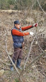 팜모닝 기타작물·영농일지 게시글 이미지