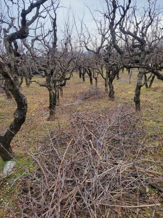 정택님의 기타작물 · 영농일지 작성글 사진
