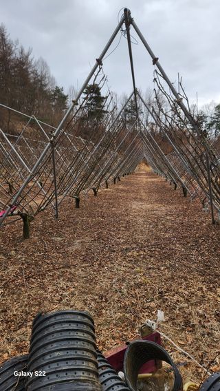 김준한님의 기타작물 · 영농일지 작성글 사진