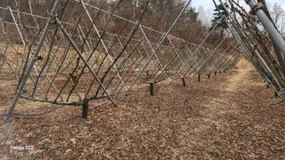 김준한님의 기타작물 · 영농일지 작성글 사진