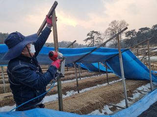 모두팜님의 기타작물 · 영농일지 작성글 사진